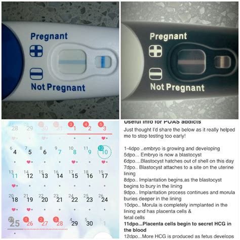 It's possible. . Negative pregnancy test after iui but no period